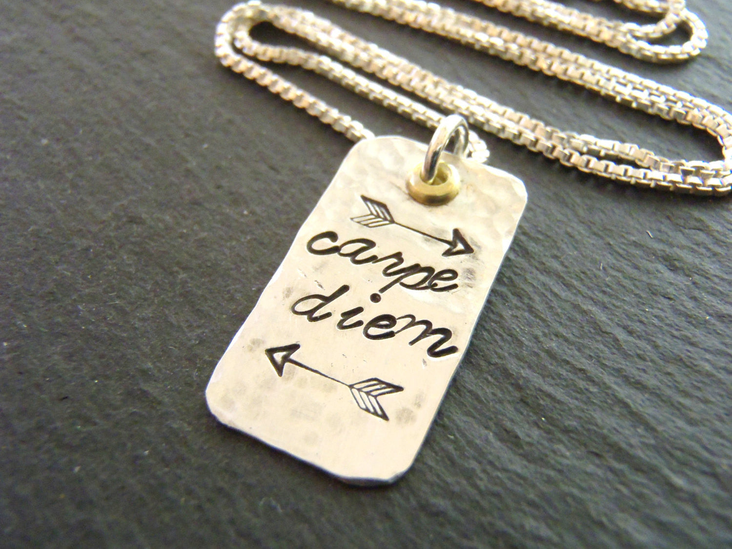 Sterling silver carpe diem necklace -seize the day - Drake Designs Jewelry